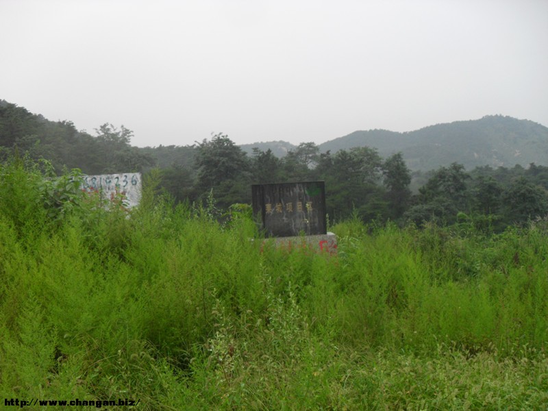 sdc13565_.jpg