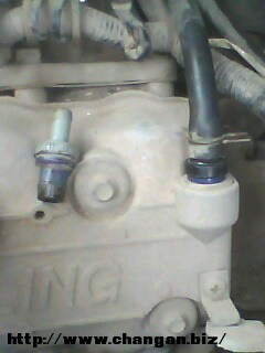 IMG0126A.jpg