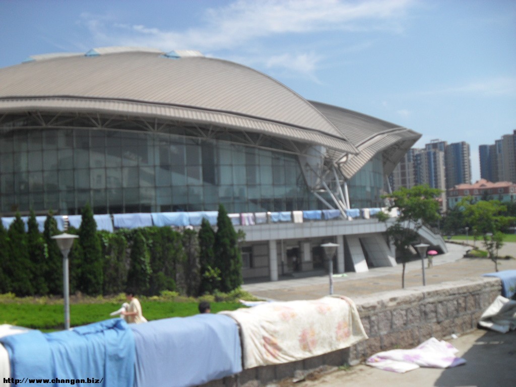 SDC13651.JPG