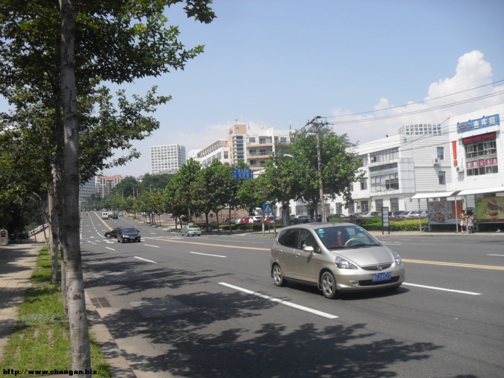 SDC13641.JPG