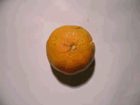 tAkGsvdG[1].gif