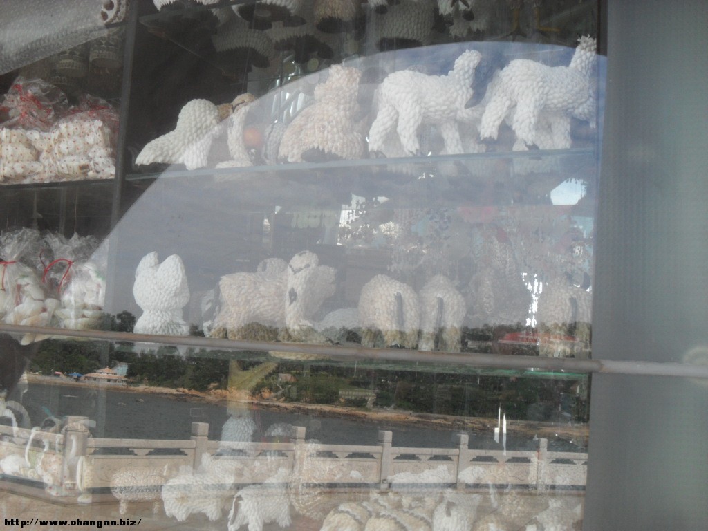 SDC13800.JPG