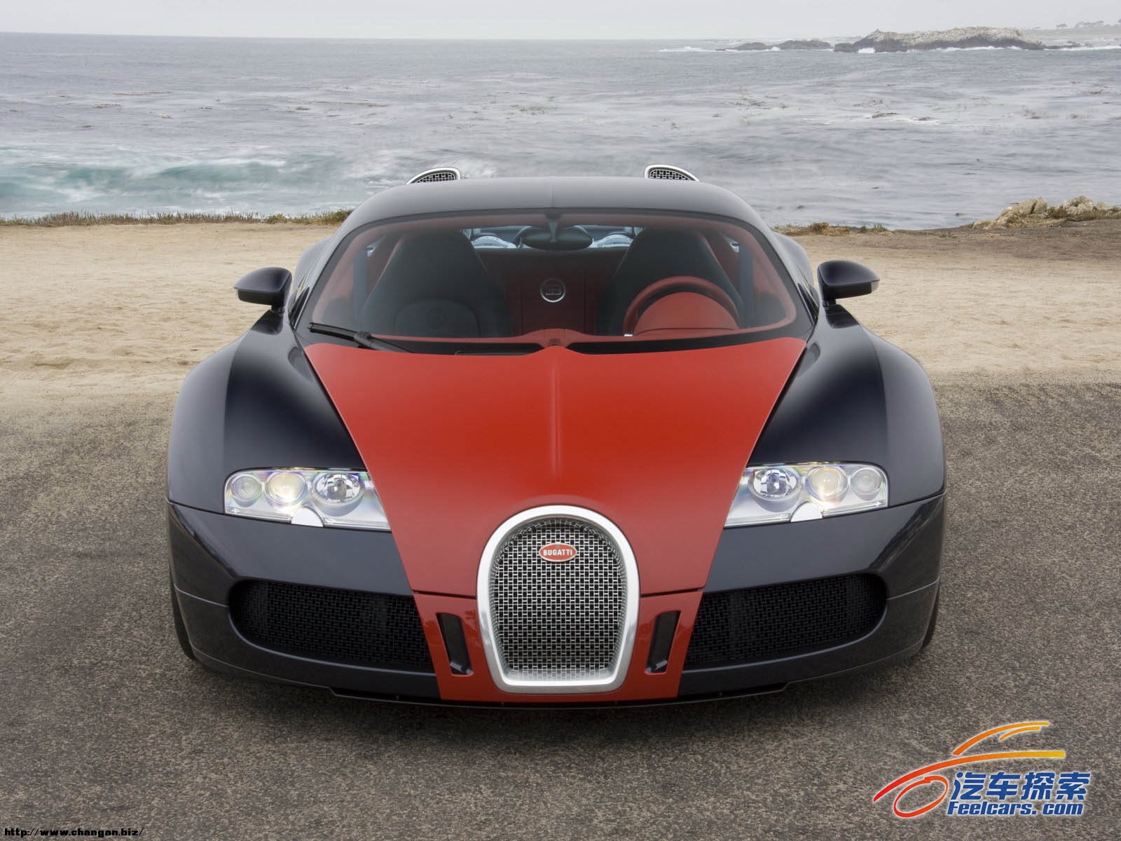 Bugatti-Veyron_Fbg_par_Hermes_2009_001_196862.jpg