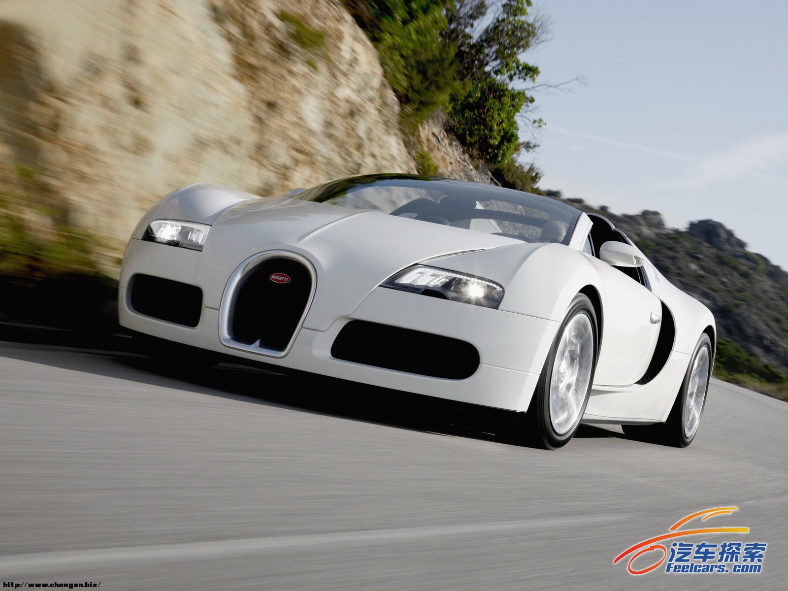 Bugatti-Veyron_Grand_Sport_2009_007_193292.jpg