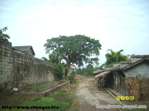IMG01368.JPG