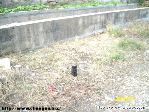 IMG01370.JPG