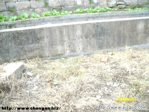 IMG01371.JPG