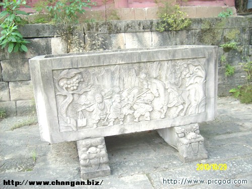 IMG01382.JPG