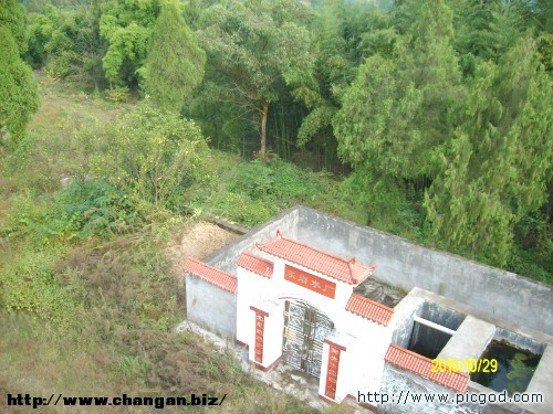 IMG01388.JPG