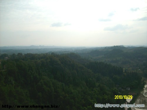 IMG01391.JPG