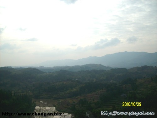IMG01392.JPG