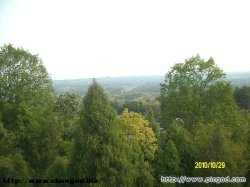 IMG01395.JPG
