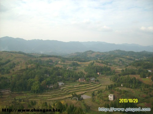 IMG01416.JPG