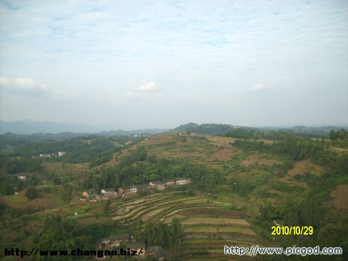 IMG01419.JPG
