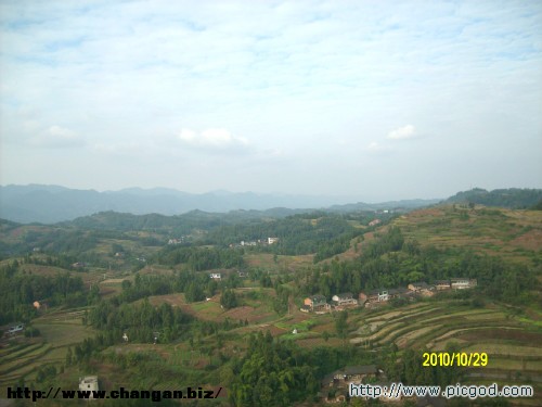 IMG01420.JPG