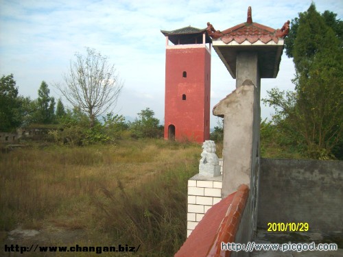 IMG01446.JPG