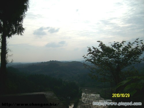 IMG01447.JPG