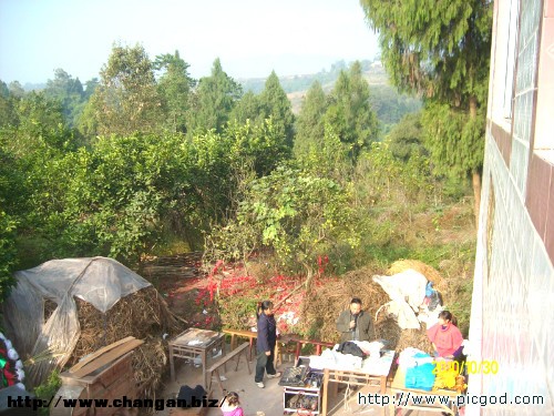 IMG01467.JPG
