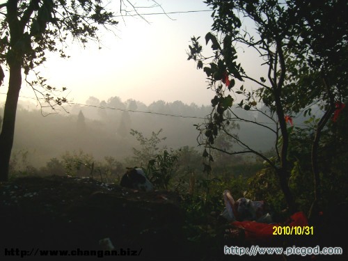 IMG01471.JPG