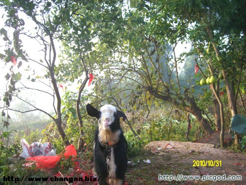 IMG01472.JPG