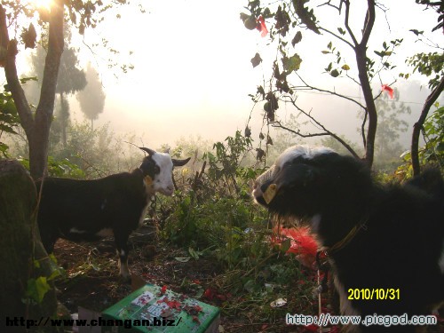 IMG01473.JPG