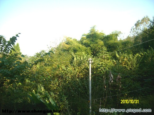 IMG01474.JPG