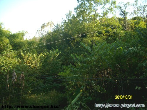IMG01475.JPG