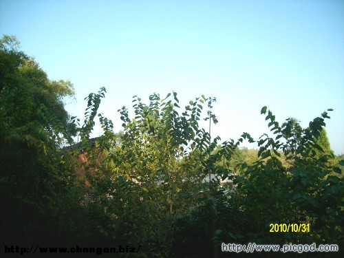 IMG01477.JPG