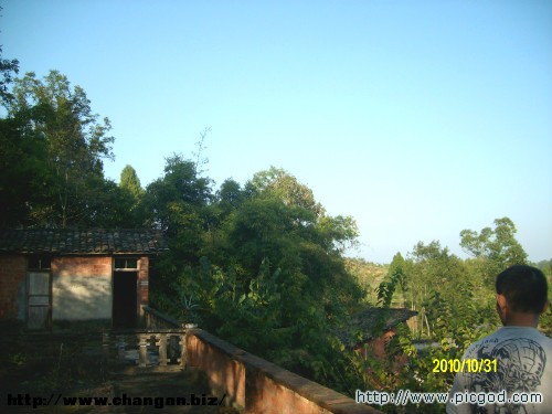 IMG01486.JPG