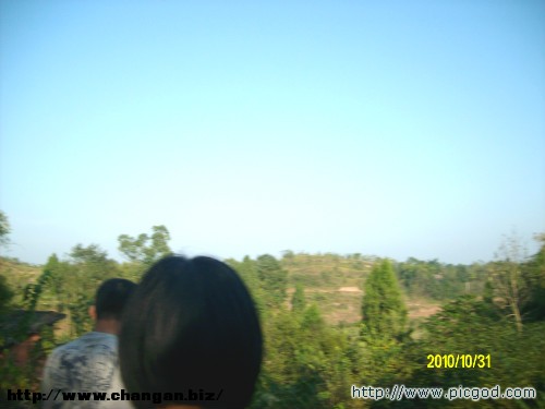 IMG01487.JPG