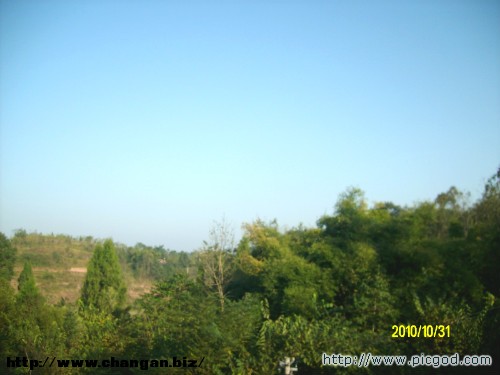 IMG01489.JPG