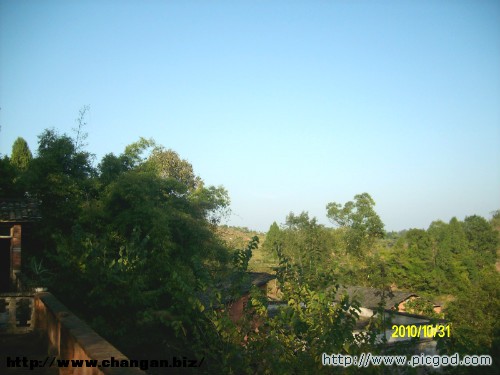 IMG01493.JPG