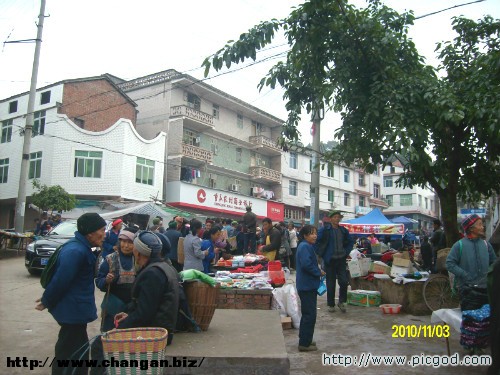 IMG01524.JPG