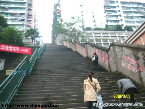 IMG01531.JPG