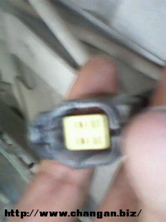 IMG0019A.jpg