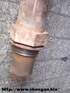 IMG0024A.jpg