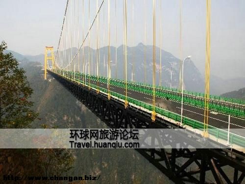 20110121095800540.jpg