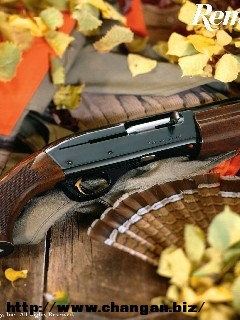 20081019_4b4a3321148c470bf02bNcAObMCin5zt.jpg