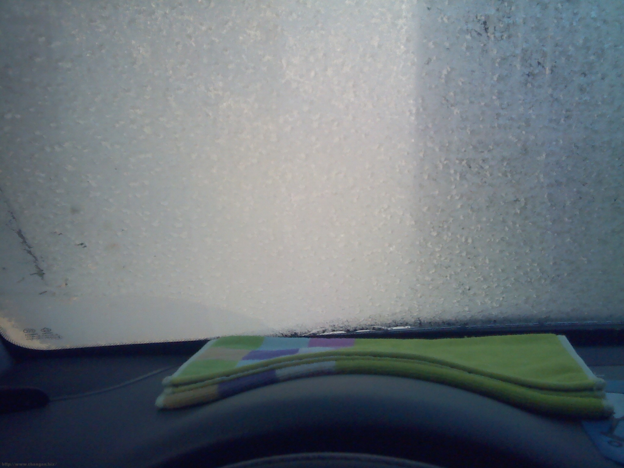 IMG_20111210_072419.jpg