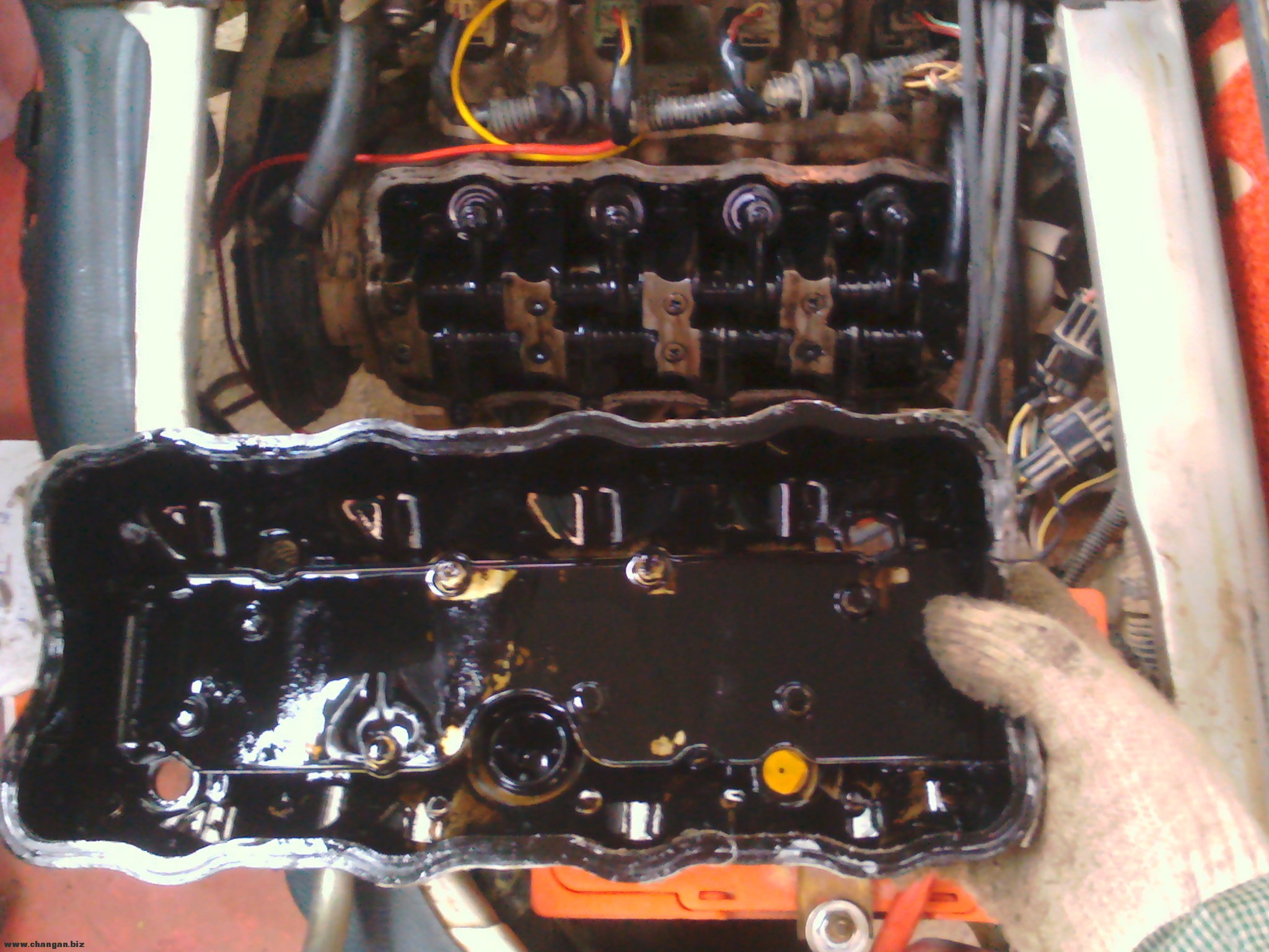 IMG_20120303_084520.jpg