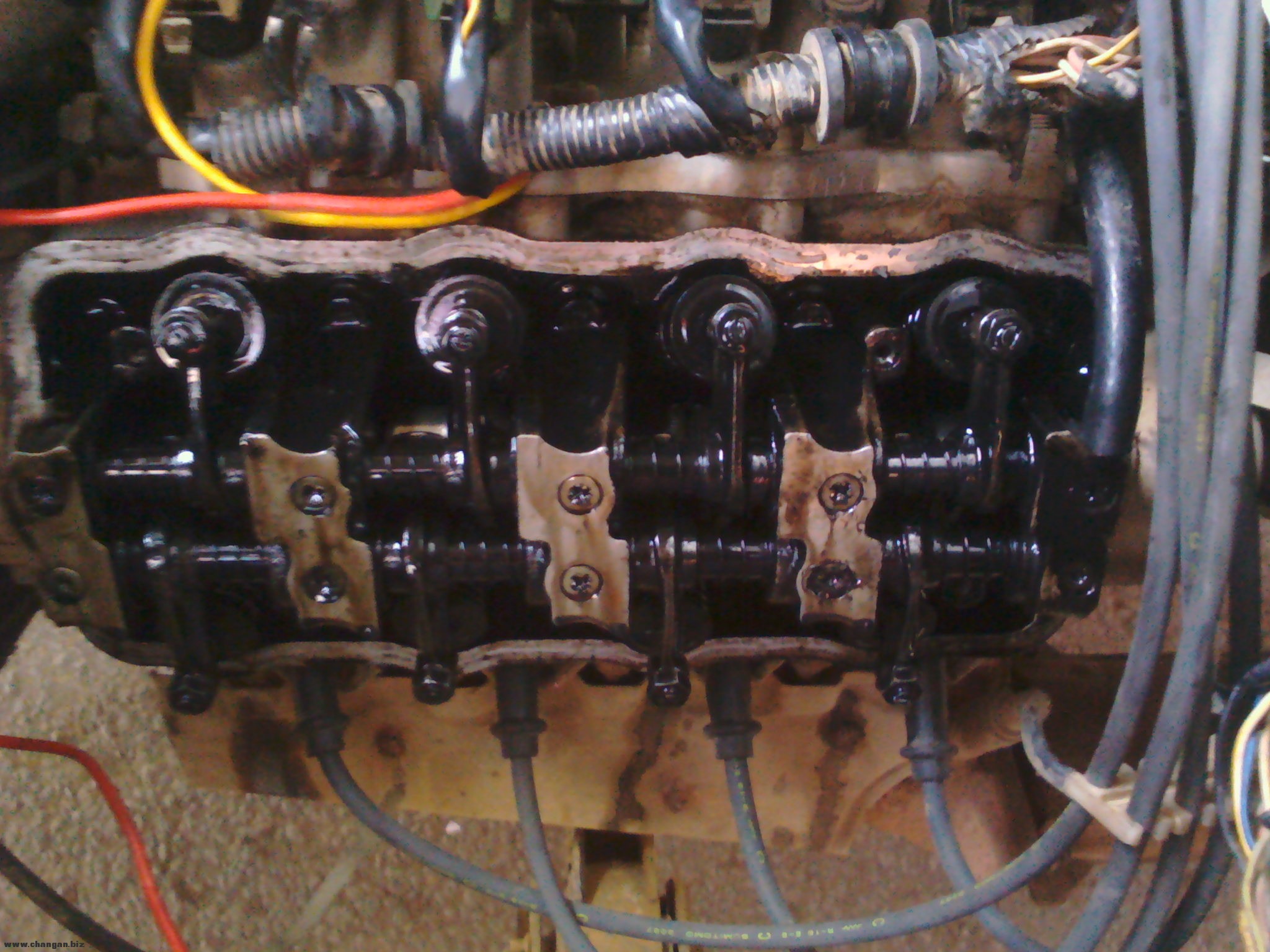 IMG_20120303_084539.jpg