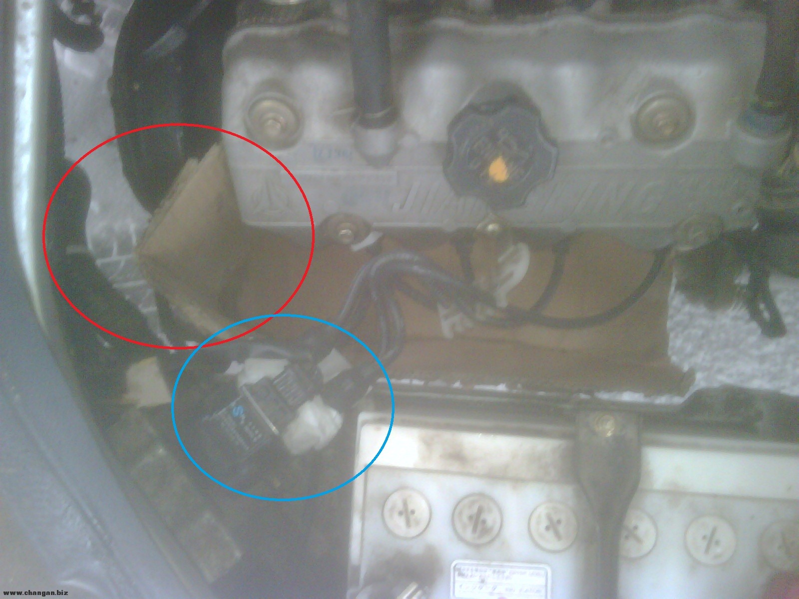 IMG00018-20120306-0944.jpg