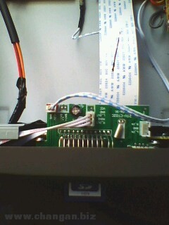 IMG0229A.jpg
