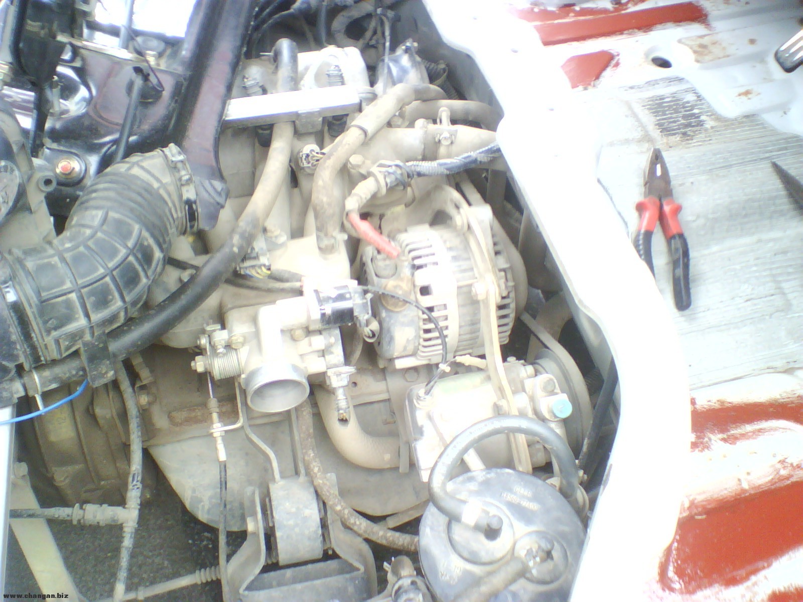 image20120628_124516.jpg
