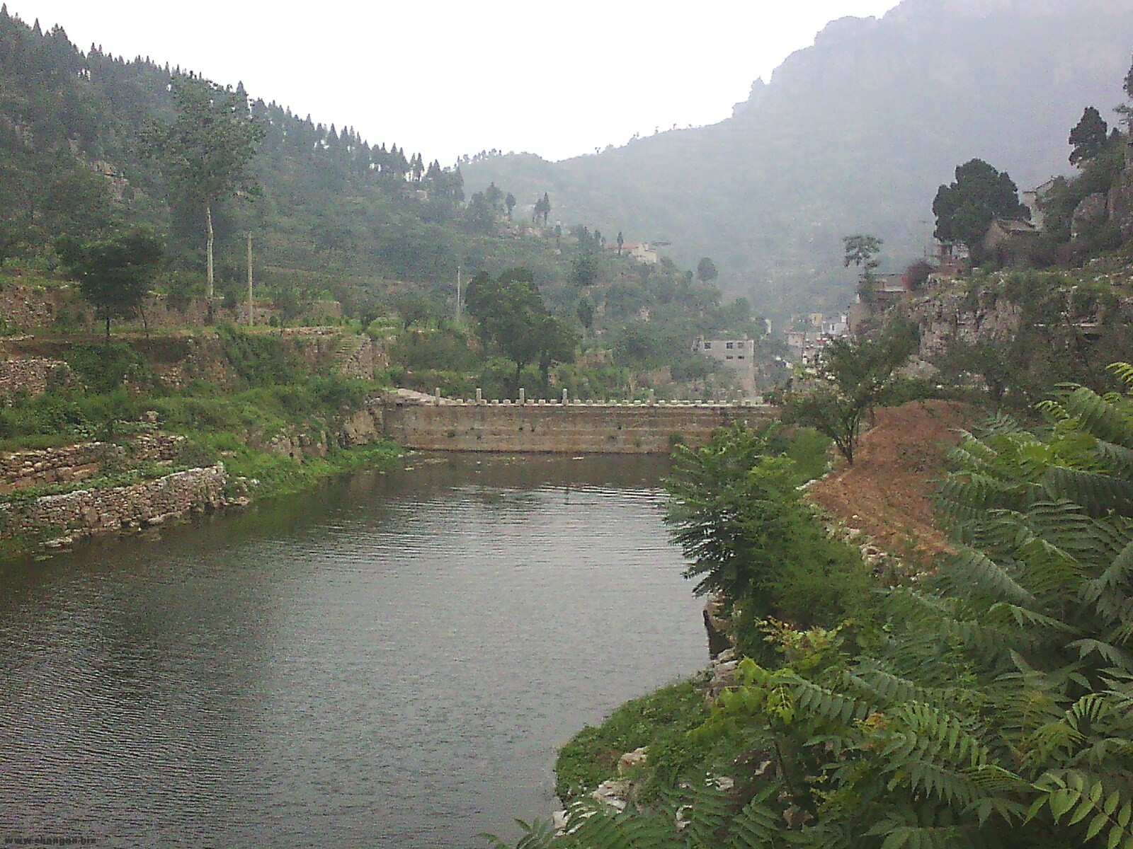 IMG0217A.jpg