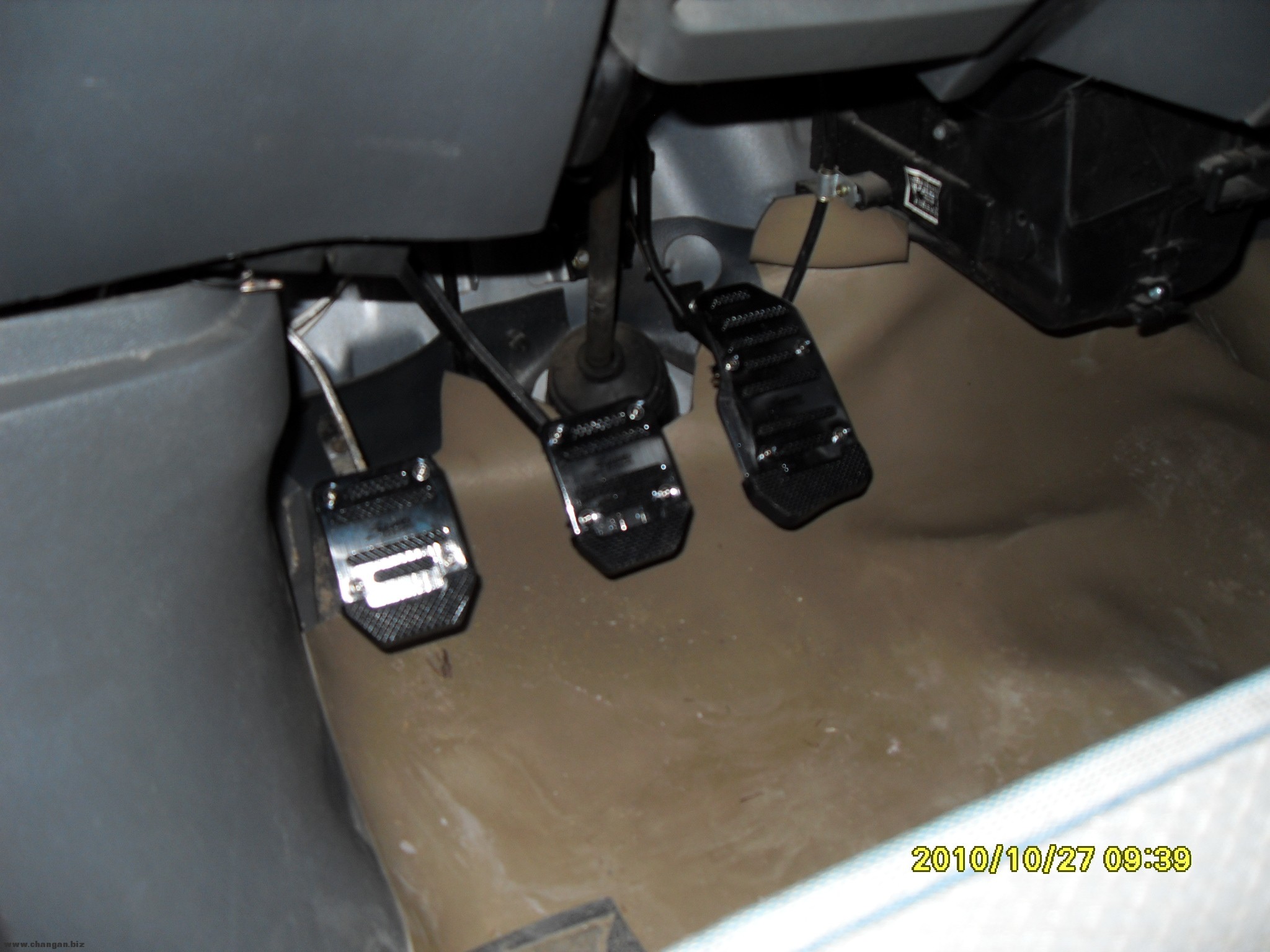 SDC10021.JPG