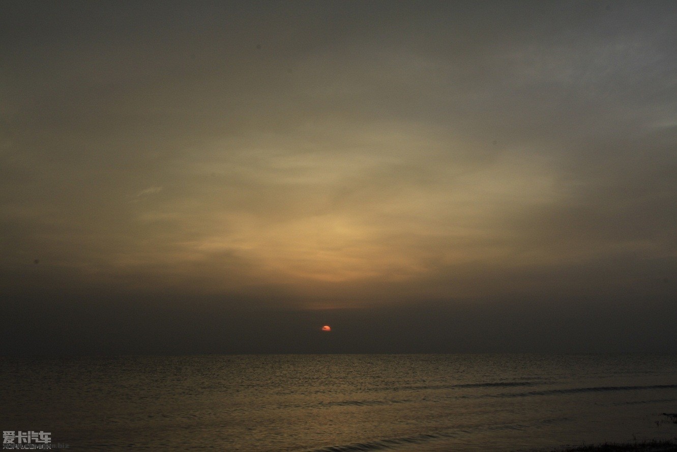 20110306_09256f8f7c9d2b146e79diBDCoc1B0Ty.jpg