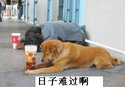 1_111115184721_13.jpg