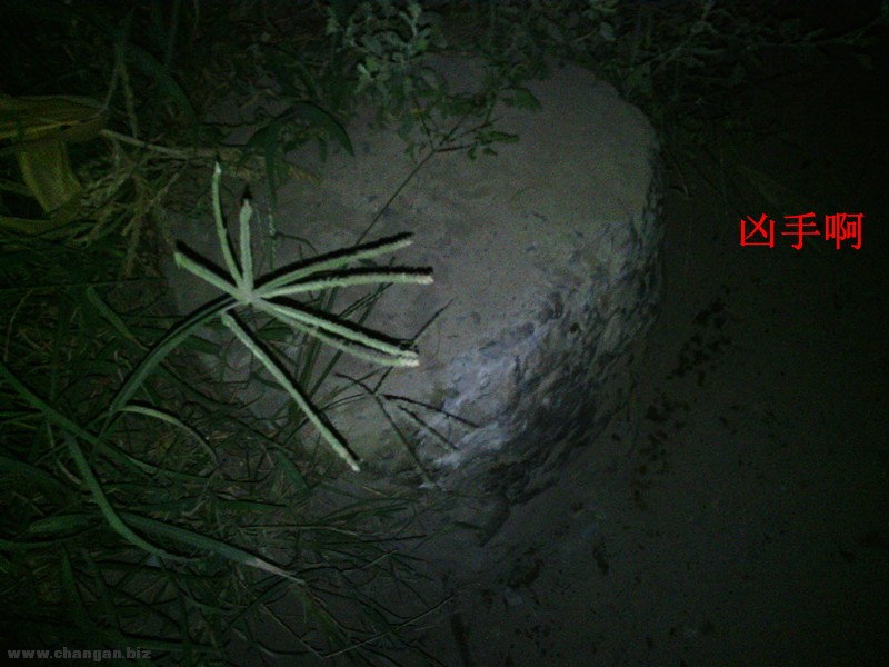 Camera_20120831_202336_.jpg