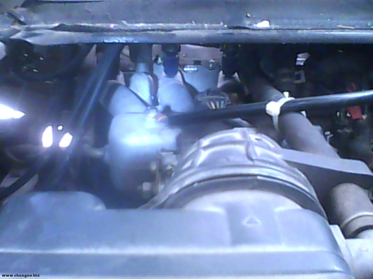 IMG0311A.jpg
